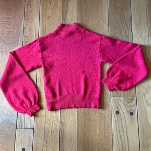 Small Red Wild Fable Turtleneck